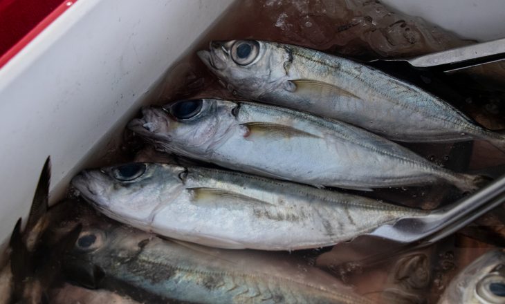 Akule Recipe